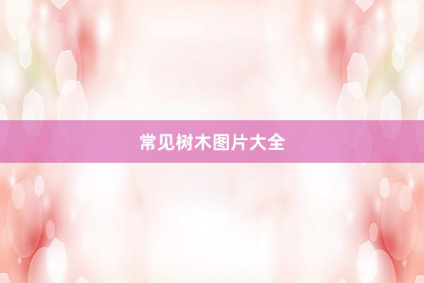 常见树木图片大全