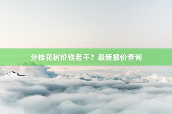 分桂花树价钱若干？最新报价查询