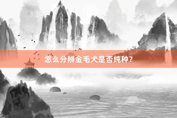 怎么分辨金毛犬是否纯种？